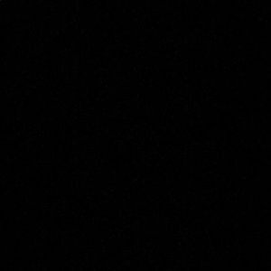 Meet your Posher, Patty